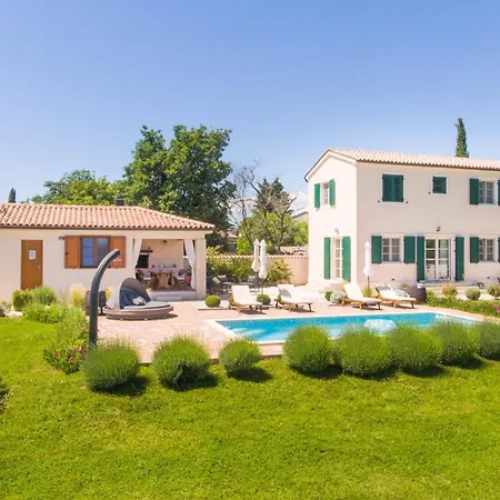 Anima Calma Filipana- Family Surrounded With Vineyards And Olive Groves Filipana